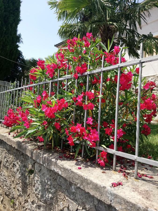 Charming Hill Apartment Opatija Exterior photo
